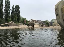 ARTIS Zoo Tickets Discount