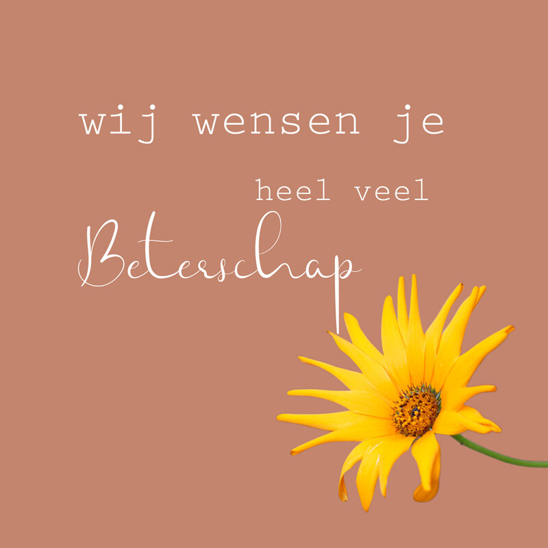 Beterschap Wensen