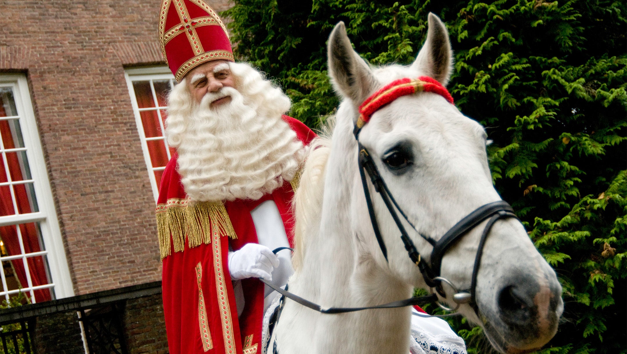 Bram Van Der Vlugt Sinterklaas