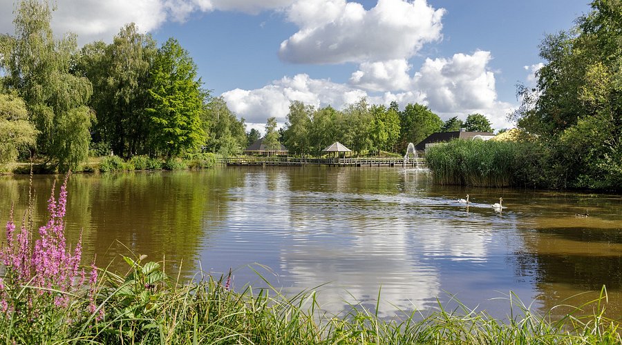 Center Parcs Limburgse Peel Peelheideweg America