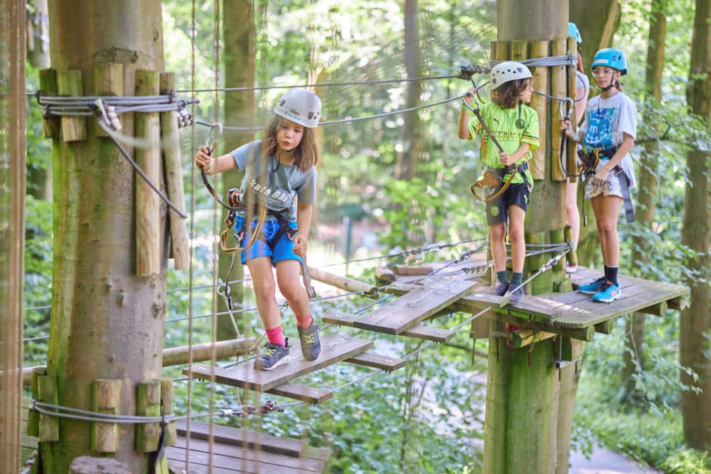 Climbing Park Fun Forest Rotterdam