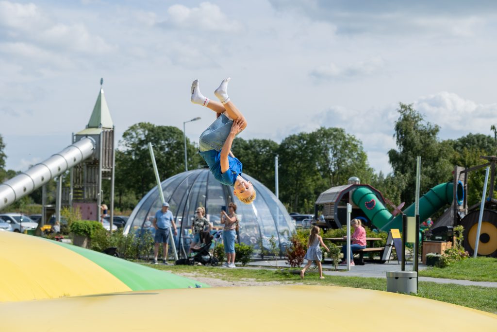 De Drentse Koe