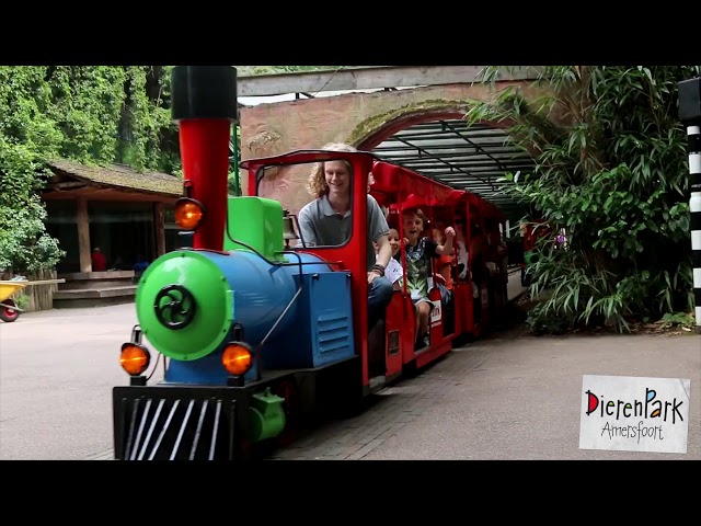 DierenPark Amersfoort Treintje