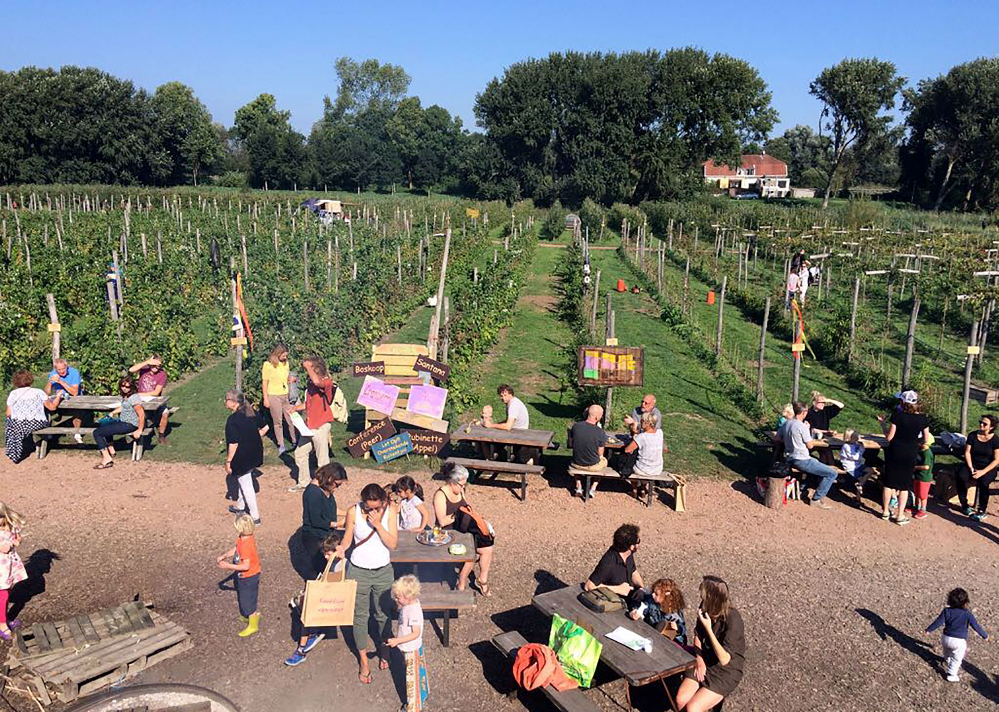 Fruittuin Van West Tom Schreursweg Amsterdam