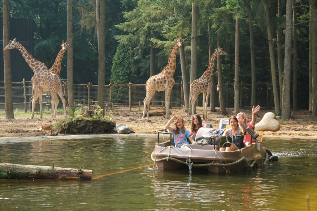 Gaat Dierenpark Amersfoort Dicht