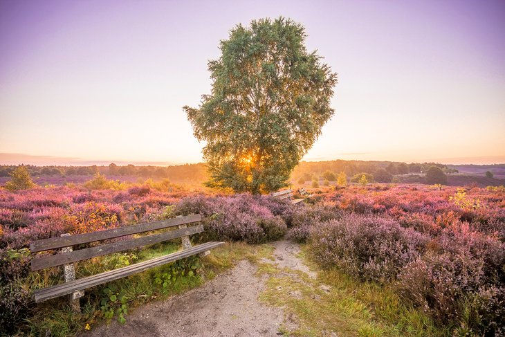 Hoge Veluwe National Park Best Time To Visit