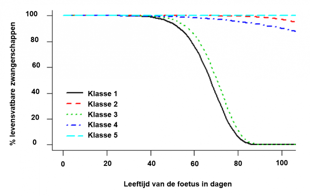 Kans Op Miskraam Per Week