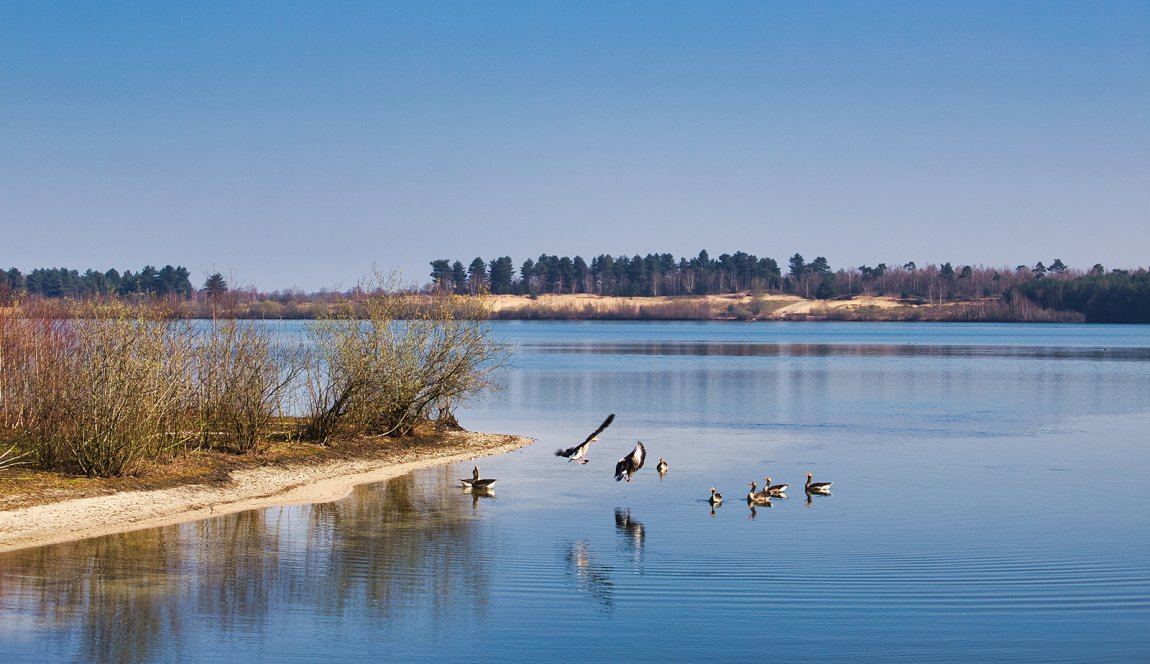 Maasduinen National Park