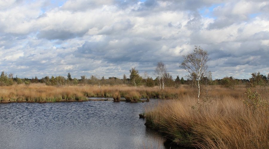 Nationaal Park De Groote Peel Price