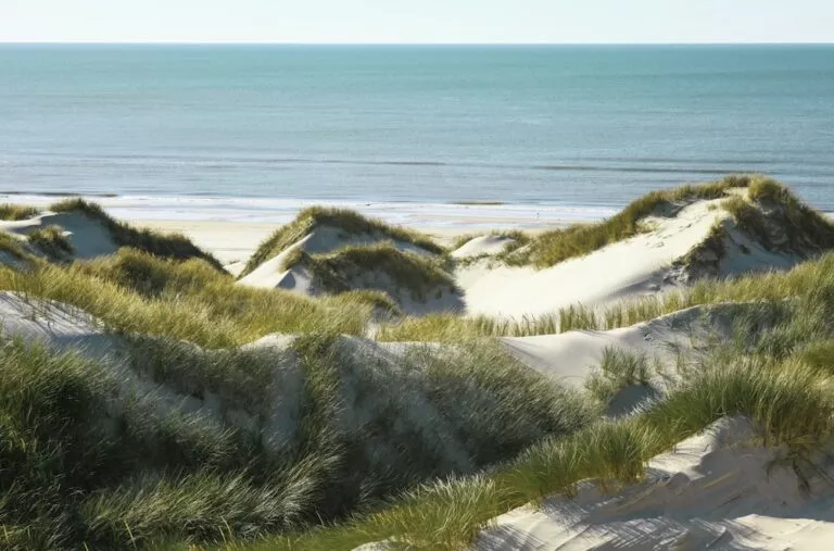 Nationaal Park Duinen Van Texel