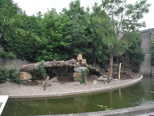 Natura Artis Magistra Zoo Amsterdam Exhibits