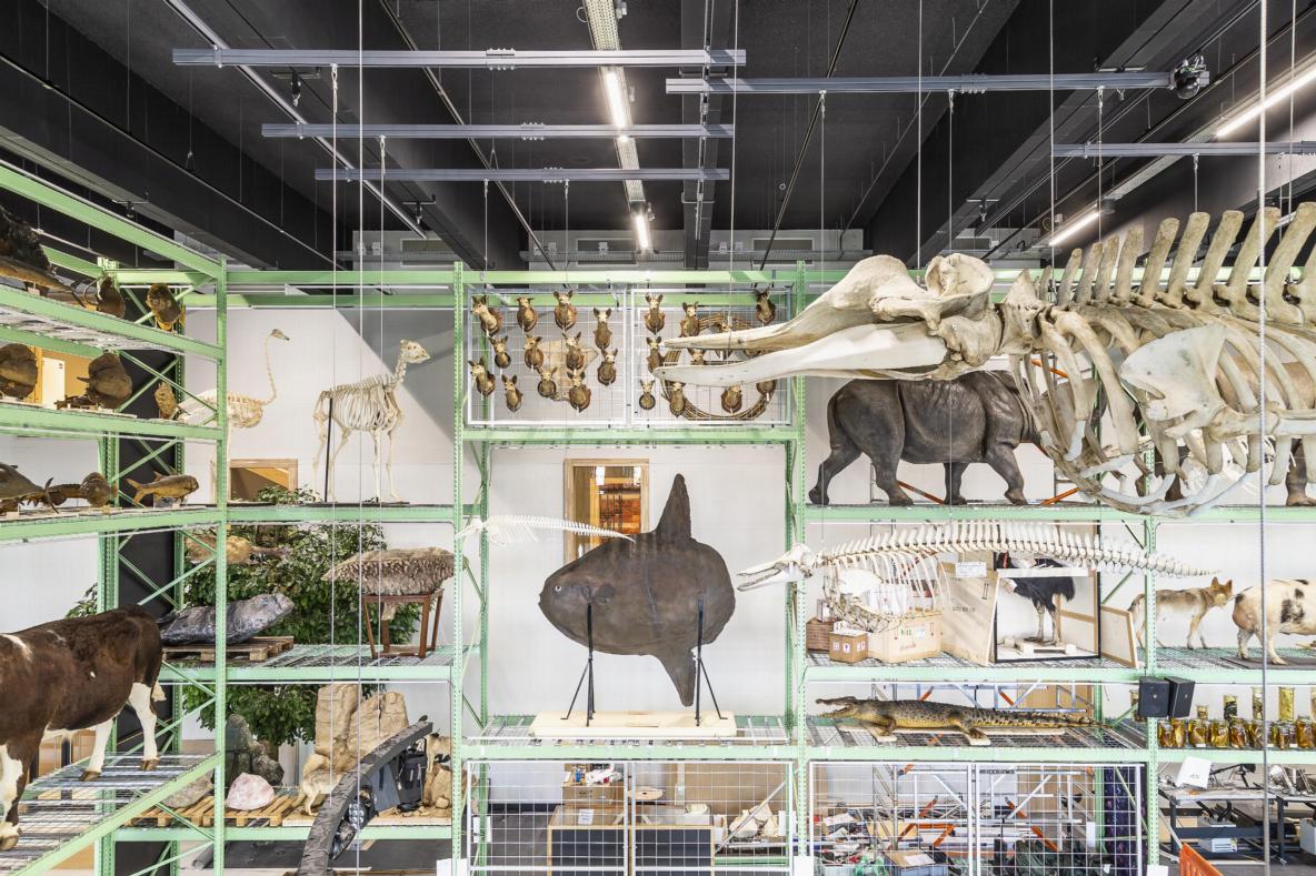 Naturalis Biodiversity Center Darwinweg Leiden Tickets