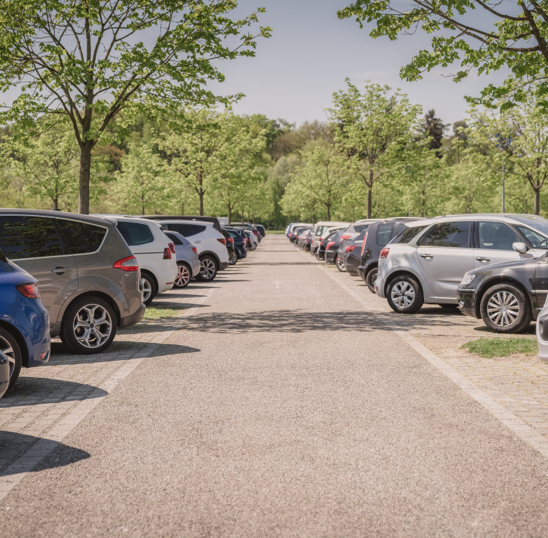 Parkeerplaats Berg En Bos & Apenheul