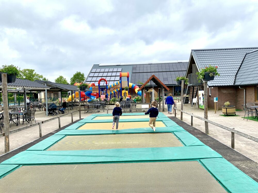 Speel En Recreatieboerderij De Flierefluiter Raalt