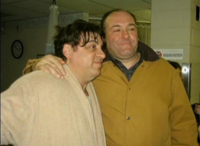 Steven Van Zandt Head Injury