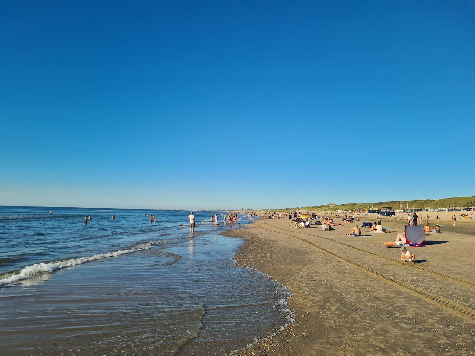 Strand / Duinen Bij Bloemendaal Aan Zee