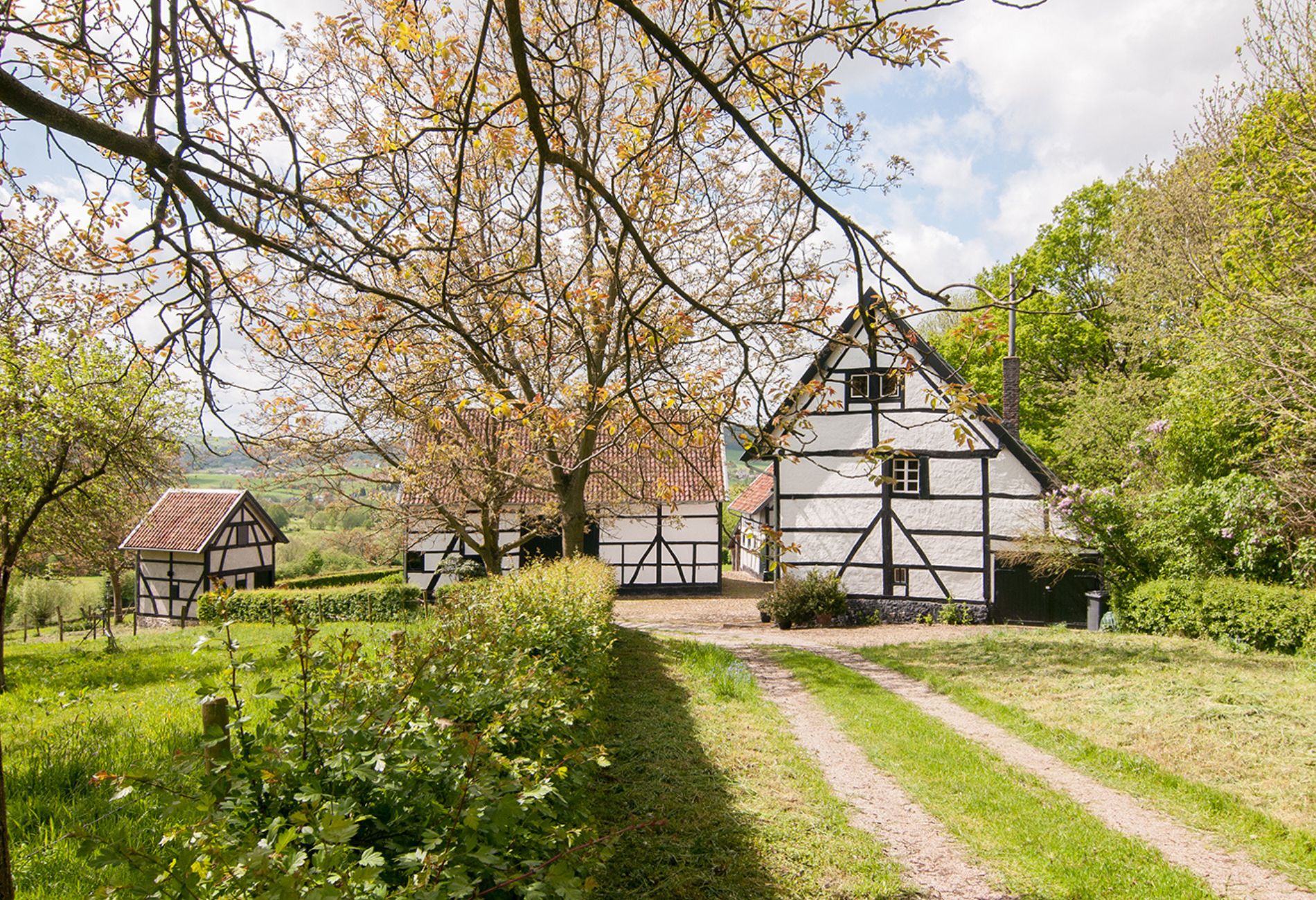 Te Koop In Zuid Limburg