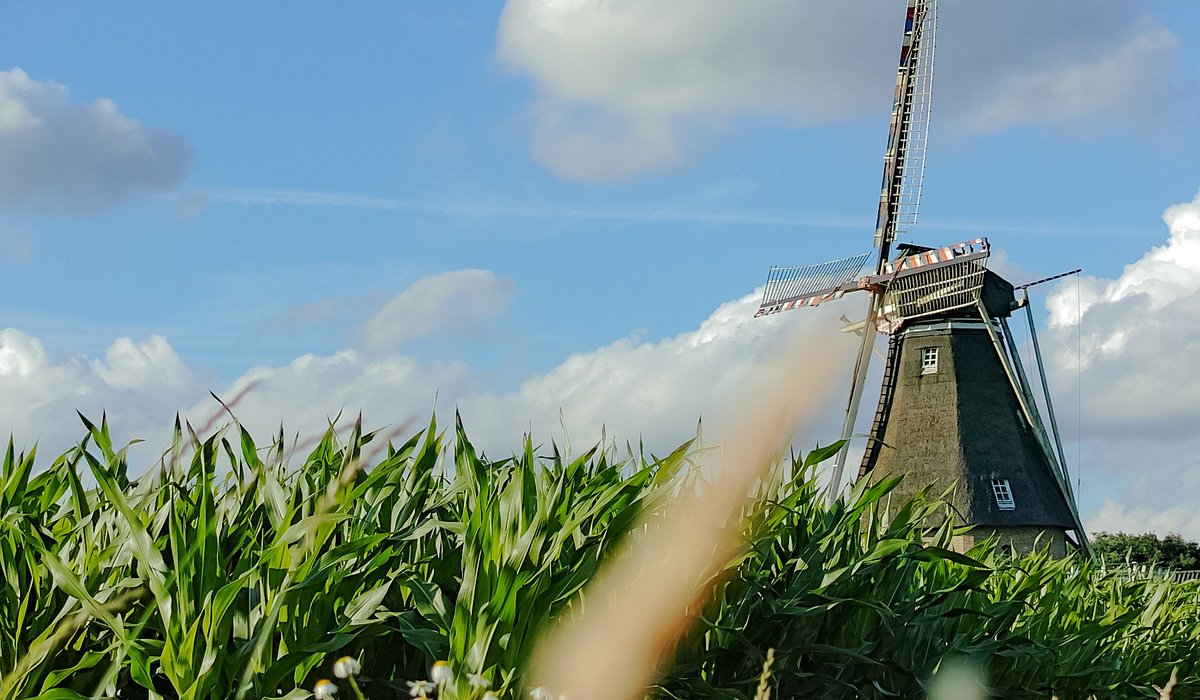 Things To See In Eindhoven