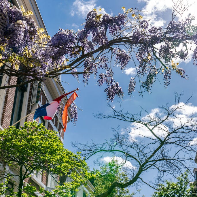 Wat Is Er Te Doen Op 5 Mei 2025