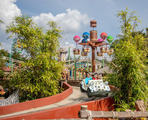 Wat Te Doen In Apeldoorn Vandaag