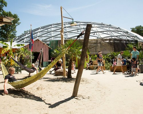 Wat Te Doen In Arnhem Vandaag