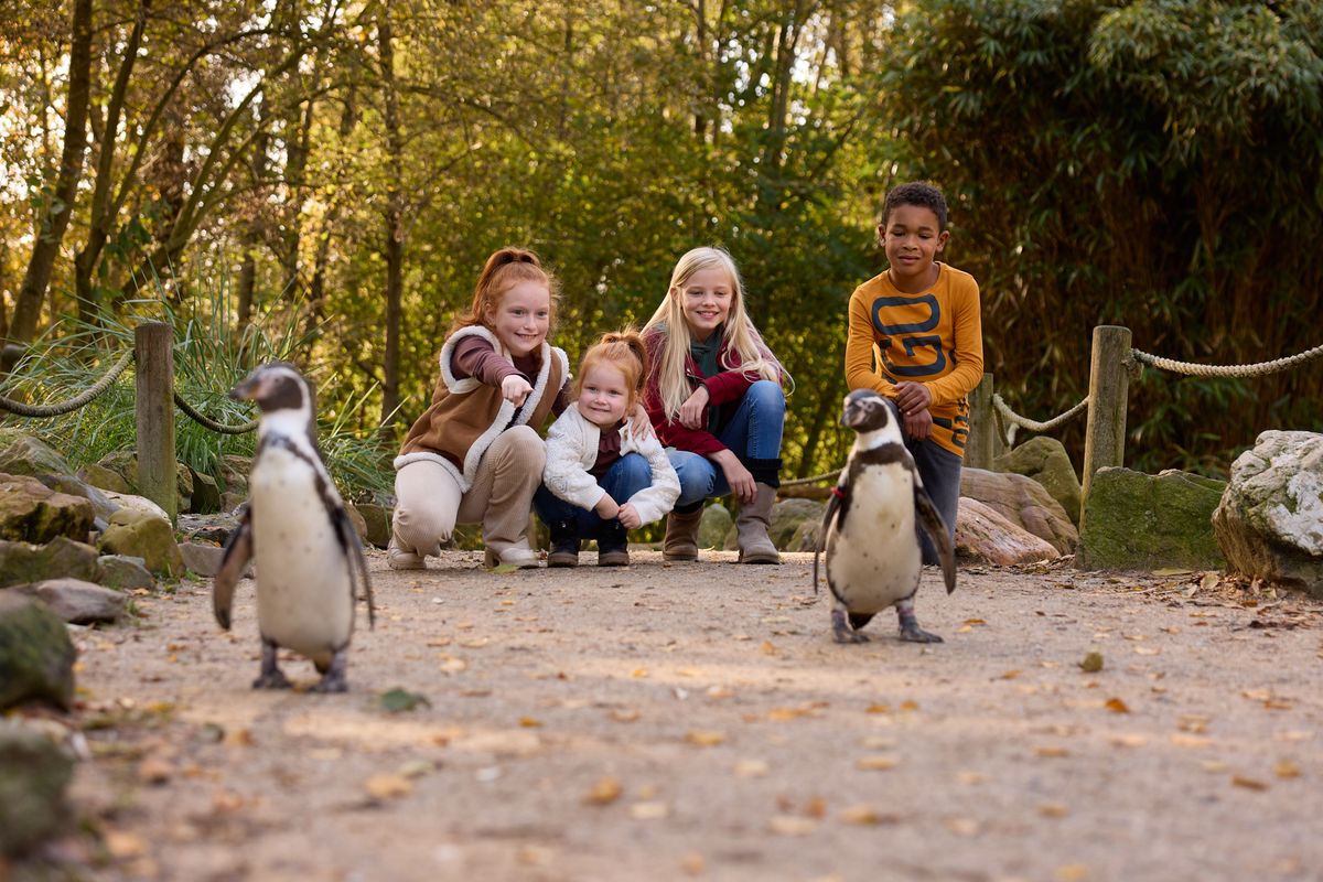 Wat Te Doen In Friesland Bij Slecht Weer