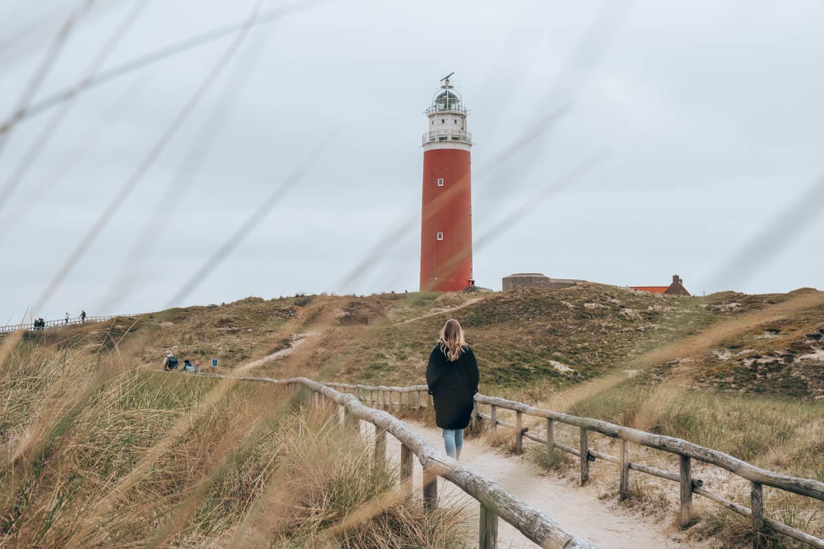 Wat Te Doen In Texel