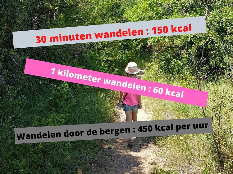 Hoeveel Calorieën Verbrand Je Met 10.000 Stappen