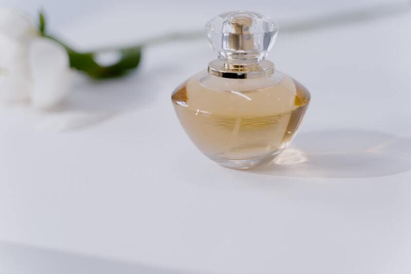 Mag Parfum Mee In Handbagage