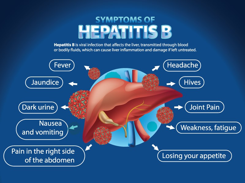 Wat Is Hepatitis B