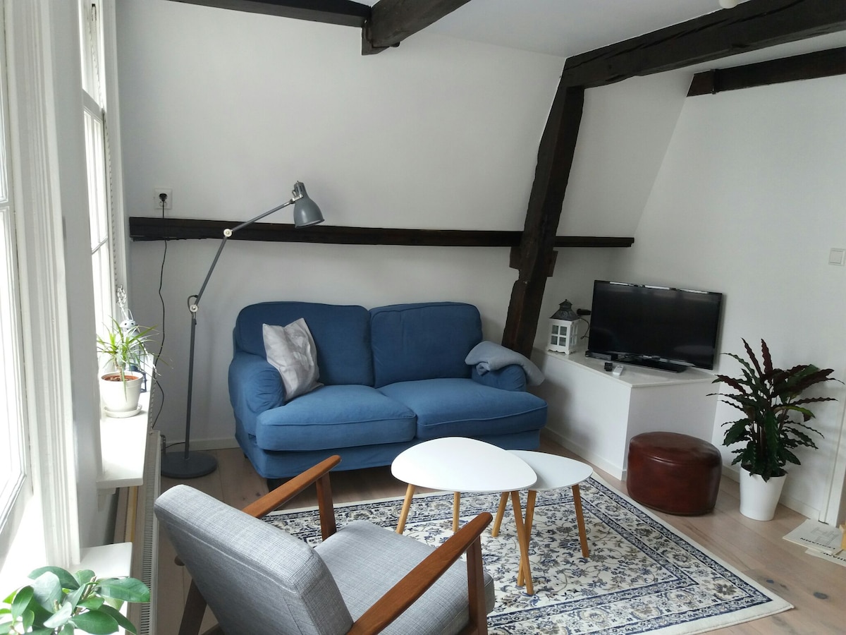 Airbnb Leiden