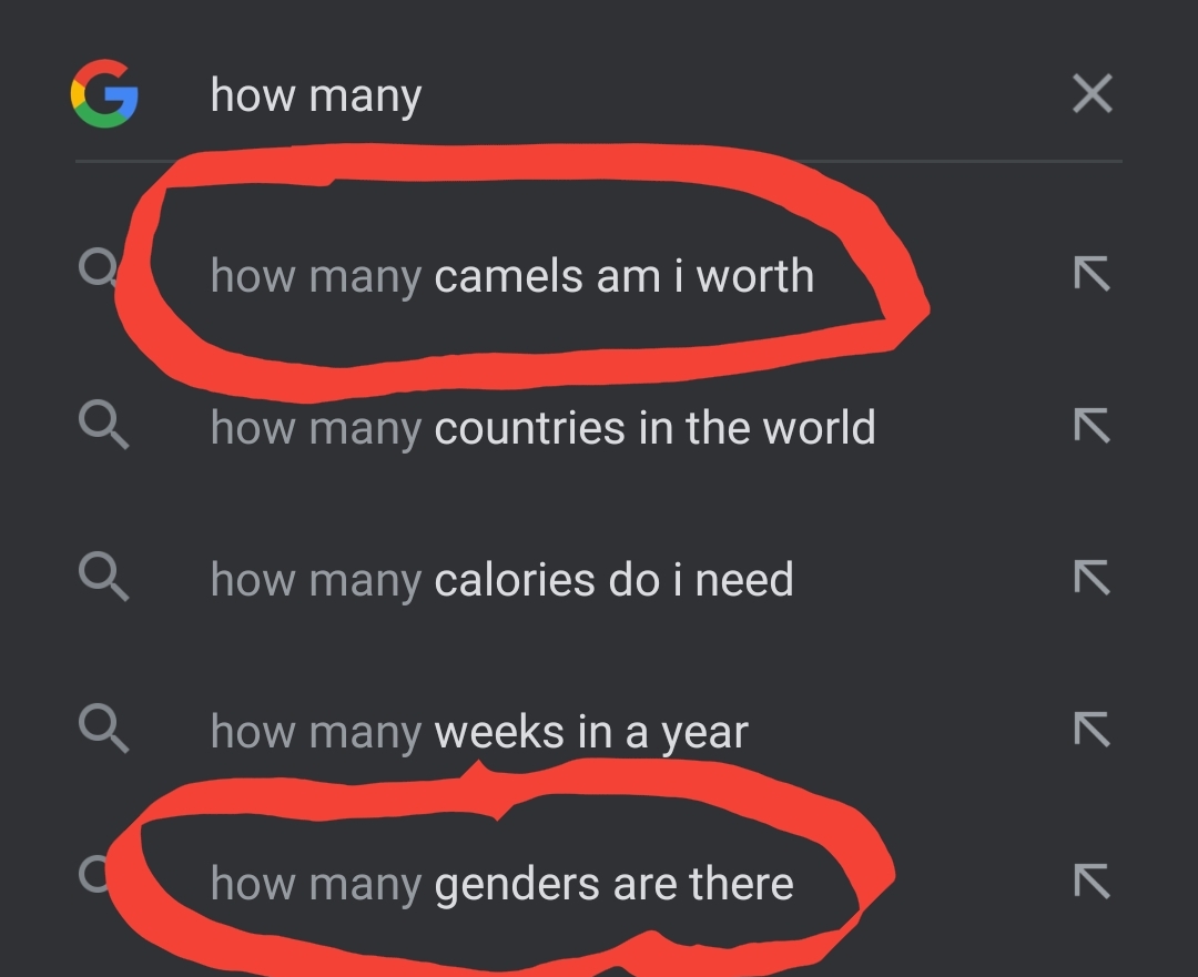 Hoeveel Kamelen Ben Ik Waard Reddit