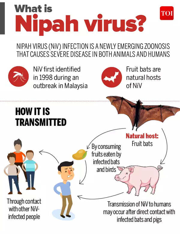 Nipah Virus In India Latest News
