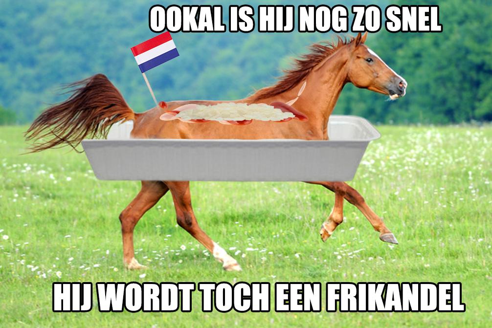Zit Er Paard In Frikandel