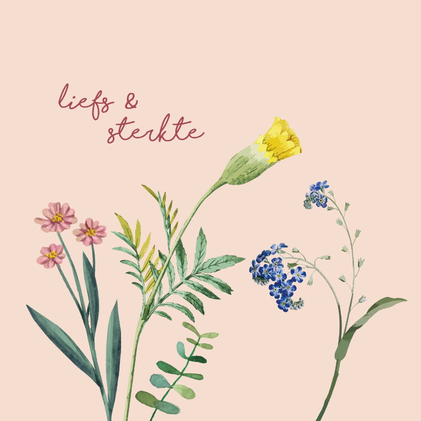 Afbeelding Sterkte En Liefs