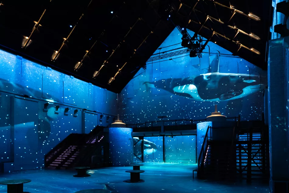 Amsterdam Aquarium Tickets