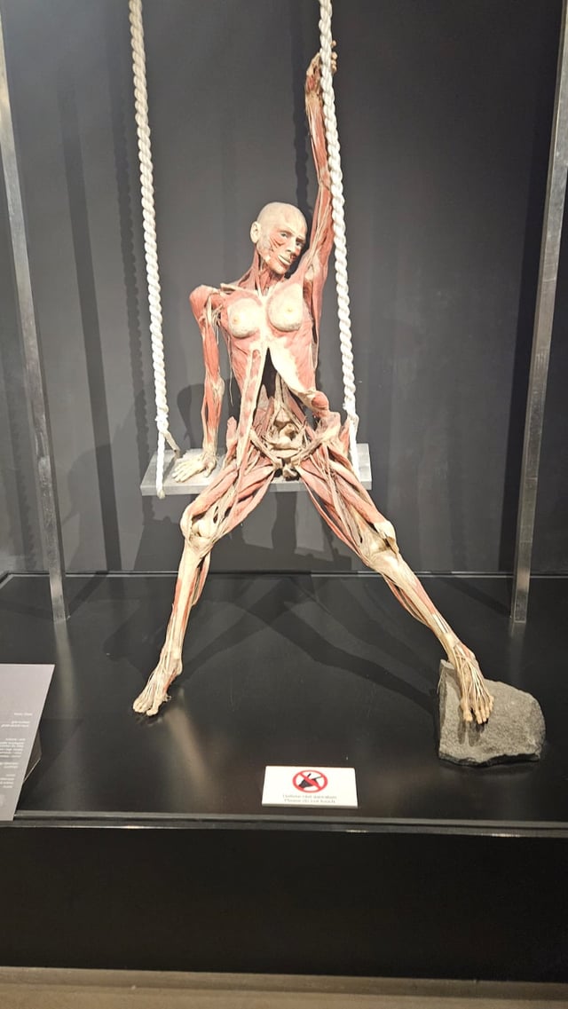 Amsterdam Museums Reddit