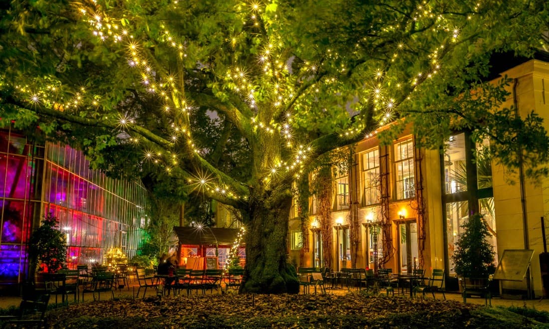 Hortus By Night Amsterdam