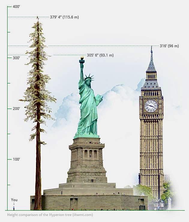 How Tall Is Big Ben