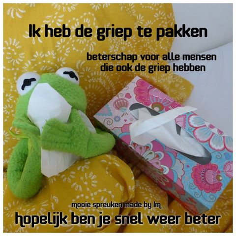 Ik Heb De Griep Te Pakken