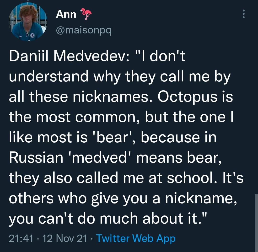 Medvedev Meaning