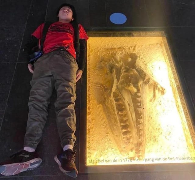 Mosasaurus Skeleton Next To Human