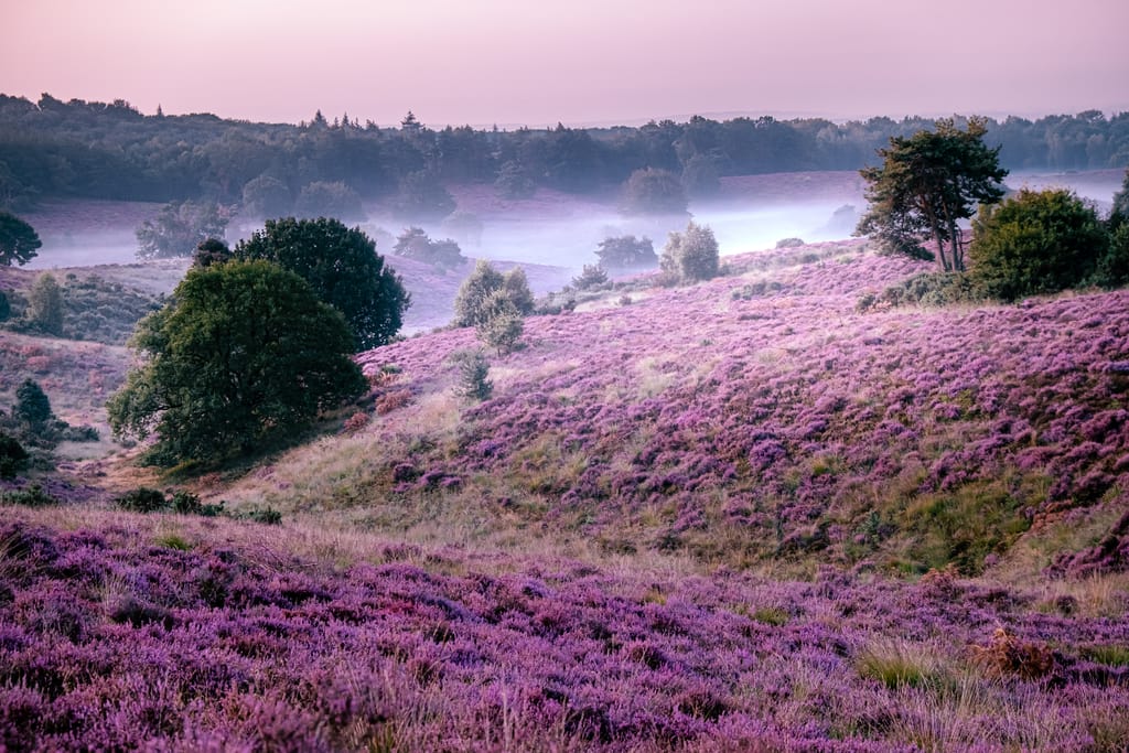 National Park Netherlands Near Me