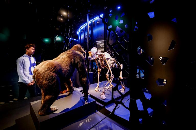 Naturalis Death