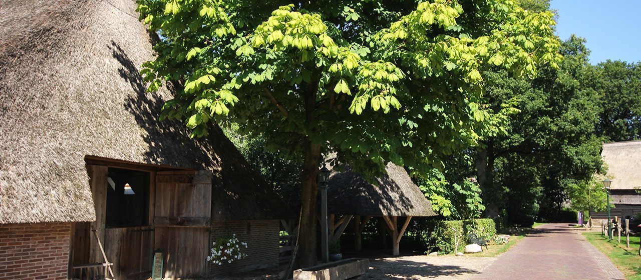 Oud Aalden