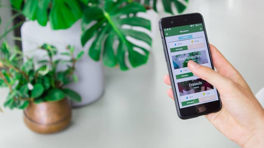 Planten App Verzorging