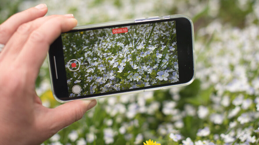 Planten Herkennen App Gratis Nederlands Ios