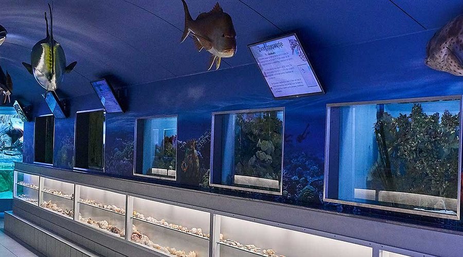 Sea Aquarium Bergen Aan Zee Exhibits