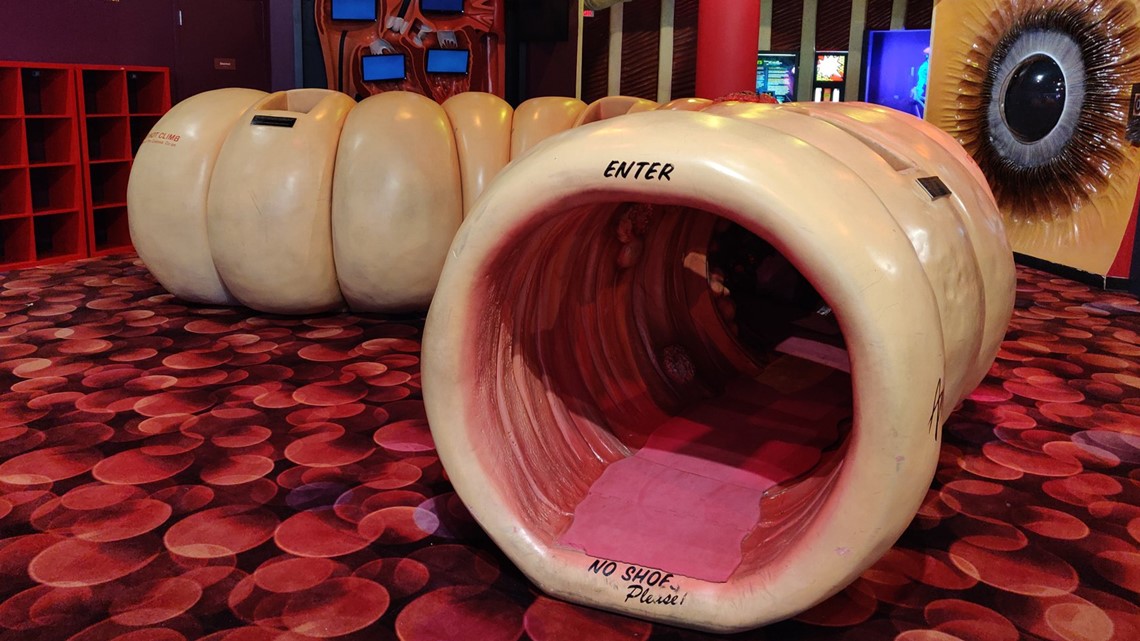 Walk Through Human Body Museum