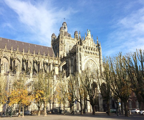 What To Do In Den Bosch